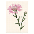 Image for Kunstdruck: Flockenblume