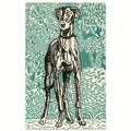 Image for Windhund