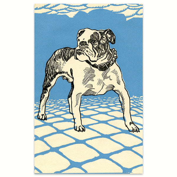 Bulldog 
